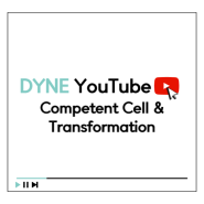 [다인실험실] Competent Cell(수용성 세포)의 정의와 원리, transformation(형질전환) 방법, 원리 및 장단점