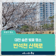 대전 유성구 데이트코스, 봄나들이 추천 숨은 벚꽃 명소 '반석천 산책로'