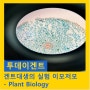 겐트대생의 실험 이모저모 - Plant Biology 실습소개