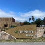 [제주여행] 부모님들의 식물 카페, 김정문알로에숲