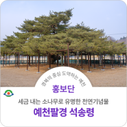 경북의 특별한 나무 예천 팔경 석송령