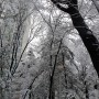 2024년 2월 22일, 봄이 오기 전 마지막 눈. 북유럽에 온 듯한 환상적인 풍경이였다.