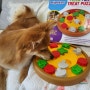 강아지 노즈워크 장난감 브라이트킨즈 피자파티 퍼즐
