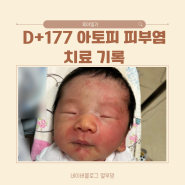 D+177 아토피 피부질환 신생아 피부염 아기 경과기록