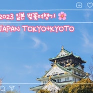 [2023 일본 벚꽃여행기 9🌸] 일본 오사카 벚꽃 명소이자 역사적 유적지 '오사카성 大阪城 천수각'에서 봄 즐기기 🏯