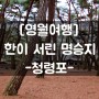 [영월여행] #한이 서린 공간_청령포