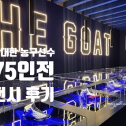 현대백화점 판교점 전시 '위대한 농구선수 75인전' 후기