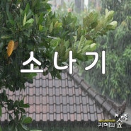 소나기 독서감상문 4 청담초 4학년 김OO