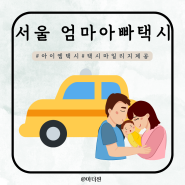 2024 서울엄마아빠택시 대상 혜택 카시트 이용 신청방법