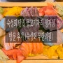[분당 정자 숙성회 맛집] 물고기자리 정자점 방문 후기