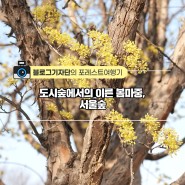 ＜＃포레스트여행기＞도시숲에서의 이른 봄마중, 서울숲