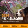 잠실ON '2024년 4월 수의사 근무시간표 안내'_잠실송파동물병원, 잠실ON동물의료센터