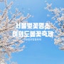 서울 벚꽃명소 2024 여의도 윤중로 벚꽃축제 여의도공원 봄꽃구경