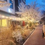 남양주 벚꽃 명소 별내카페거리 브런치 카페 사생활 | 애견동반 가능하고 프라이빗한 맛집