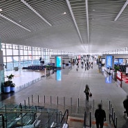 중국 칭다오 공항 (자오둥 공항) 청도 출장기