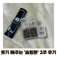 천연 식욕억제제 강남 슬림환 2주 3kg 감량 후기 운동병행