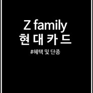 현대카드 Z family 단종 소식 (생활비카드 인기템)