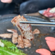 서산 맛집 ㅣ 동문동 한우가 저렴한 고기집 고기육번지고깃집