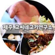 제주 노형 맛집 고씨네고기연구소 쫀득한 멜조림수육정식