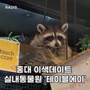 홍대 이색데이트 실내동물원 '테이블에이' / 홍대동물원
