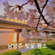남양주, 2024 서울 근교 조용한 벚꽃 명소 탑 3