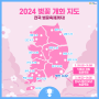 2024 벚꽃 개화 지도