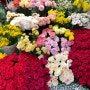 양재 꽃 시장/봄이 시작되는 곳/후리지아 꽃 가격,위치