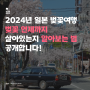 일본 벚꽃 언제까지 볼 수있나요? - 2024년 일본 도쿄, 후쿠오카, 키타큐슈 4월 벚꽃 개화, 만개일 알아보기