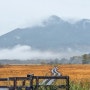 오제 국립공원, 일본 최대 고산습지 트레킹 2일차
