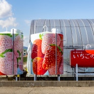 사가현 남부 여행, 딸기 수확 체험을 할 수 있는 기시카와 농원