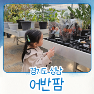 성남 분당 시흥동 식물원카페 어반팜에서 꽃화분 구경해볼까?