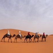 모로코 핫산네 사하라 사막 1박2일 오전 투어, 마라케시에서 메르주가 가는 버스, 마라케시 가는 택시