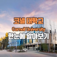 코넬대학교의 모든 것 알려드립니다