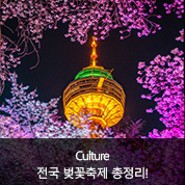 소개팅애프터로 추천하는 전국 벚꽃축제 총정리!