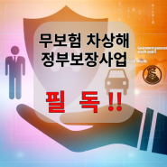 무보험자동차상해 정부보장사업 보상범위