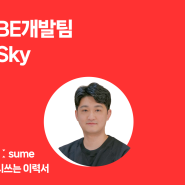 [REːsume] BE개발팀 Sky