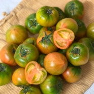 대저토마토 이 맛있는 토마토가 4월까지만 판다니?
