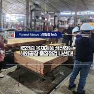 KS인증 목재제품 생산하는 해외공장 품질점검 나선다!