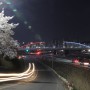청주 무심천 벚꽃축제 푸드트럭 예술제소식
