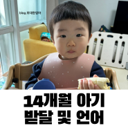 14개월 아기 언어 발달 모방행동 수면 유아식 키 몸무게 성장 보고서