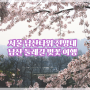 서울 남산타워 전망대 N서울타워 남산둘레길코스 시간 벚꽃 여행