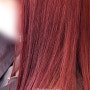 베리 브라운 | Berry Brown | Reddish color