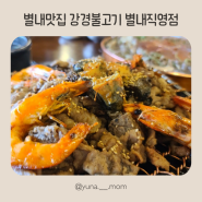 별내맛집 숯불에 구워먹는 불고기가 생각난다면 강경불고기 별내직영점