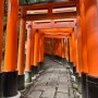 3월 오사카 교토 4박5일 여행 #10 | 4일차 - 후시미 이나리 신사
