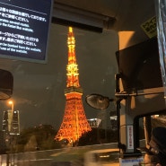 도쿄 디즈니랜드에서 신주쿠 버스 | 도쿄타워 야경보면서 편하게 집가는 법 | 가격, 시간, 타는 곳, 꿀팁