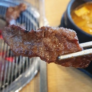 제천 소고기 맛집 가성비 최고 소갈빗살이 맛있는 청풍원