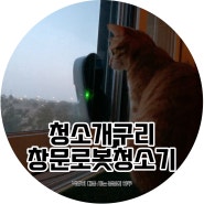 봉봉 리뷰 :: 청소개구리 창문 로봇청소기 대여 후기, 창문바깥청소