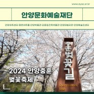 2024 안양충훈벚꽃축제 교통안내(3.30~3.31)