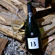 Bollinger, B13 Champagne 2013 (샴페인 볼랭저 B13) - O.P.