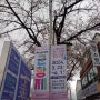 제 62회 진해 군항제 벚꽃축제 기간 실시간 현황